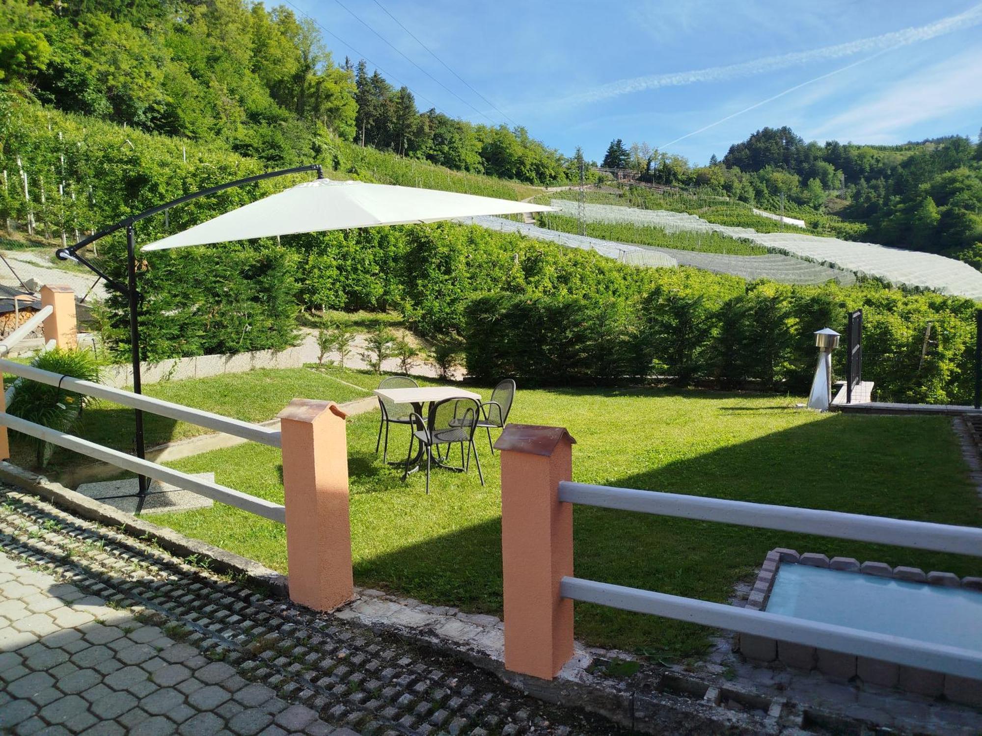 Agritur Casa Al Mulino Appartamenti Sanzeno Buitenkant foto